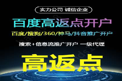 搜索引擎优化（SEO）在百度上的应用案例研究
